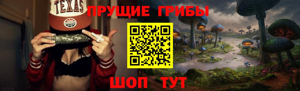 Протвино  Псилоцибиновые грибы прущие грибы  Вход с VPN 